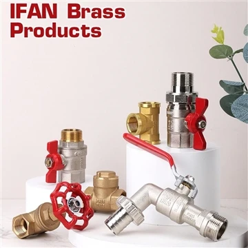 About IFAN