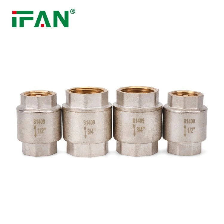 Brass Check Valve (9)